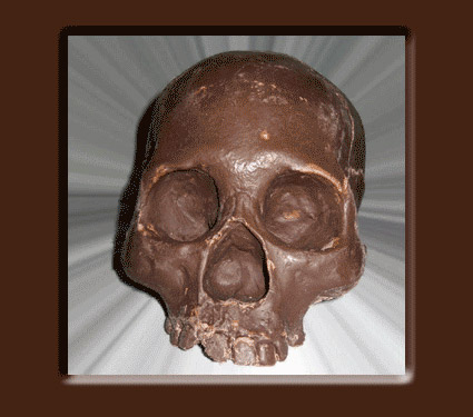 Chocolate Skull Image 1
