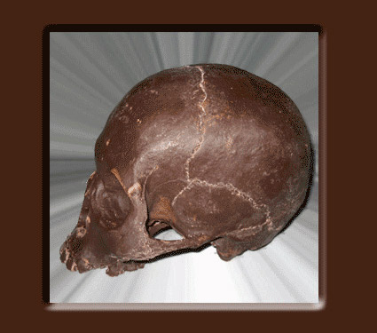 Chocolate Skull Image 4