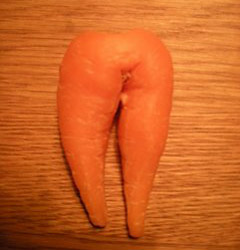 Carrot Bottom Back image