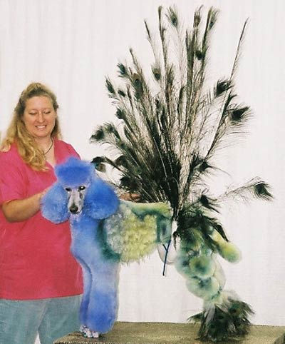 Creative Grooming Image 4