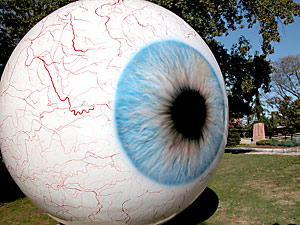 The Eye image 4