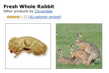 Fresh Whole Rabbit image