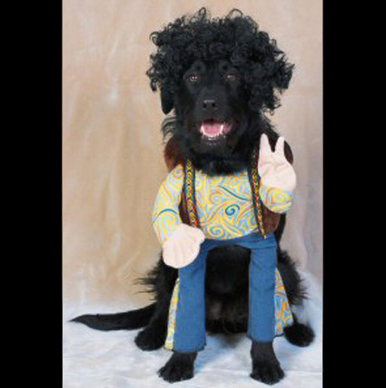 Halloween Dogs Part 2 Image 1