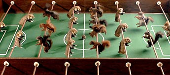 Hamsters vs Squirrels 4 image